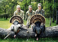 CA Turkey Hunting
