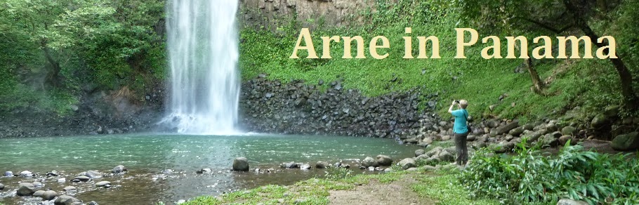 Arne in Panama