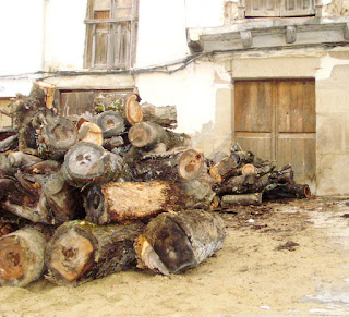 Tornavacas montón de troncones