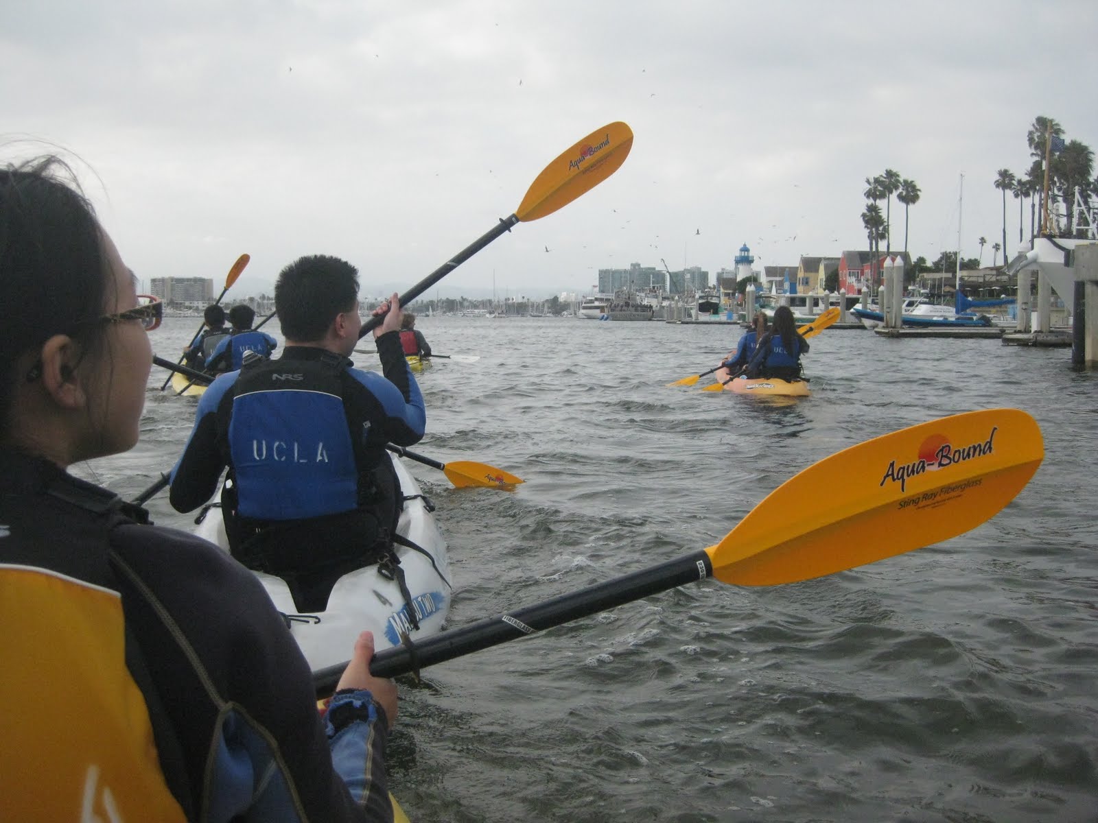 Kayaking in Marina del Rey May 2011