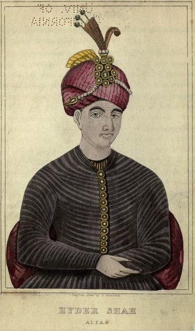 Haidar ali was the ruler of class 8 picture