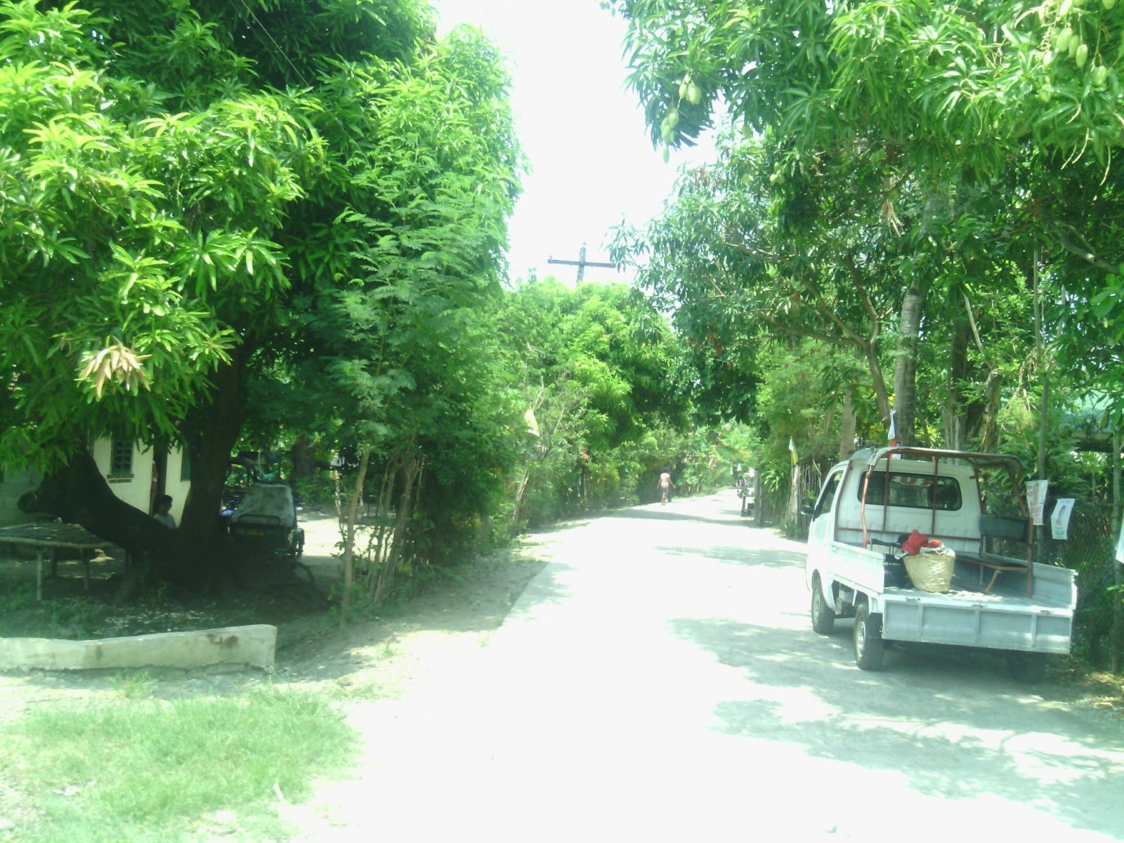 Pasig Best Properties Farm Lots For Sale Sual Pangasinan