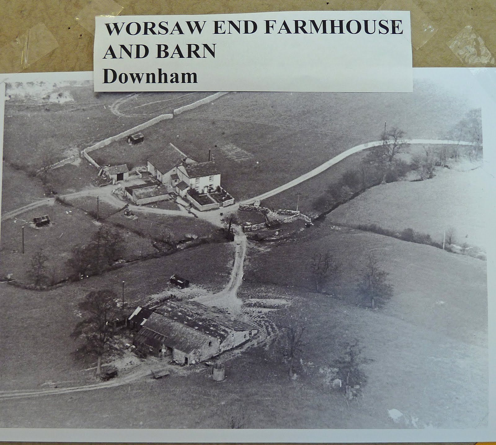 Orchids,Nature and My Outdoor Life 50 Years Ago.... " Whistle Down The