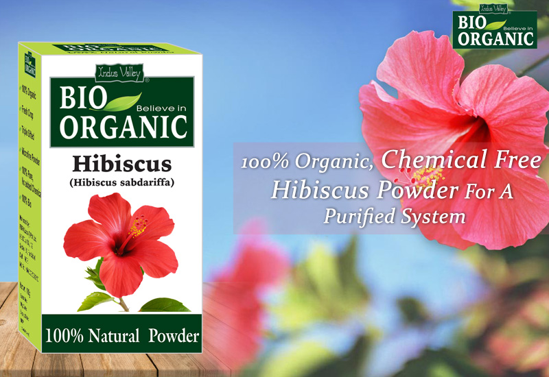 Why Is Hibiscus Powder A Perfect Solution For Damaged Hair?