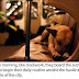 Stray Dogs Ride The Subway In Moscow (11 Pics)