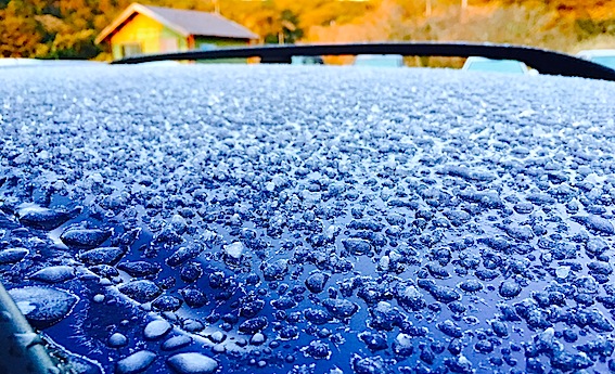 週刊シーキャビン アイシアイサレ