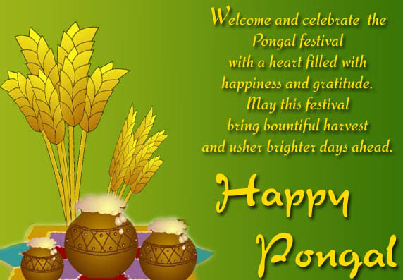 Pongal Greeting Cards Wallpapers 2020, Happy Pongal Wishes Images