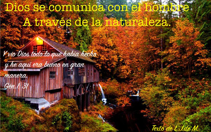 Meditaciones Matinales EL CORDERO VEGETAL DE TARTARIA