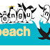 Penguin Beach: παραλία των πιγκουίνων