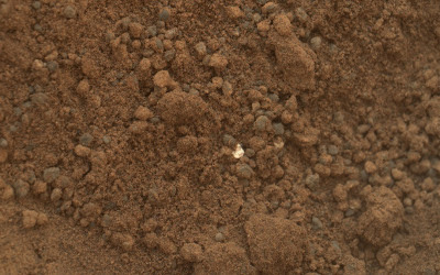 جسيمات لامعة فى تربة المريخ 