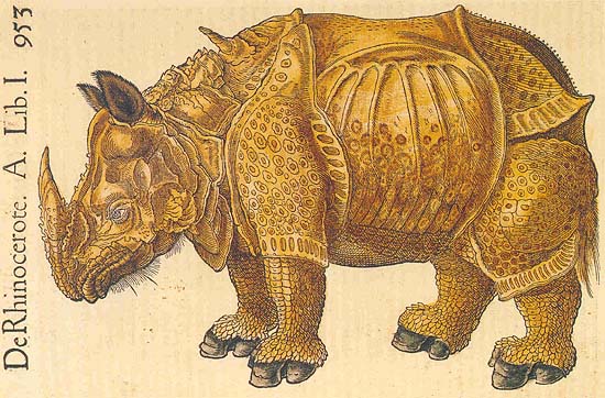EL ANIMAL INVISIBLE: Iconografía del rinoceronte. Mafa