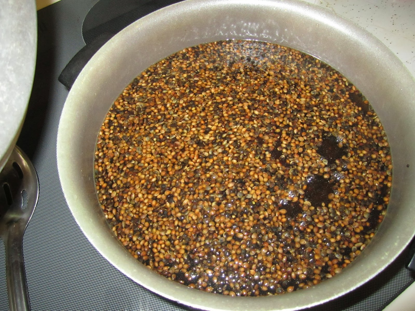 Carp Fishing Lifestyle How to properly prepare hemp seed for carp