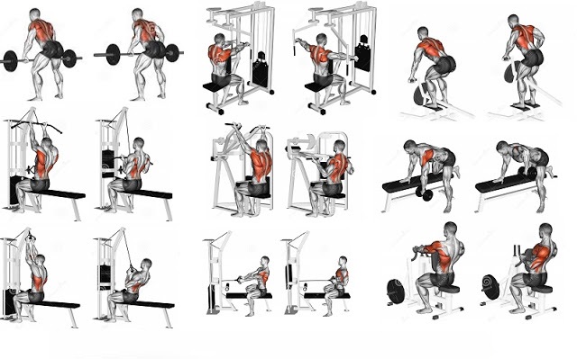 The Muscle Building Workout Routine - The Best Workouts