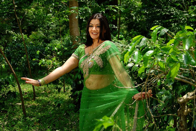 Actress Aarthi Agarwal Navel Show Photos