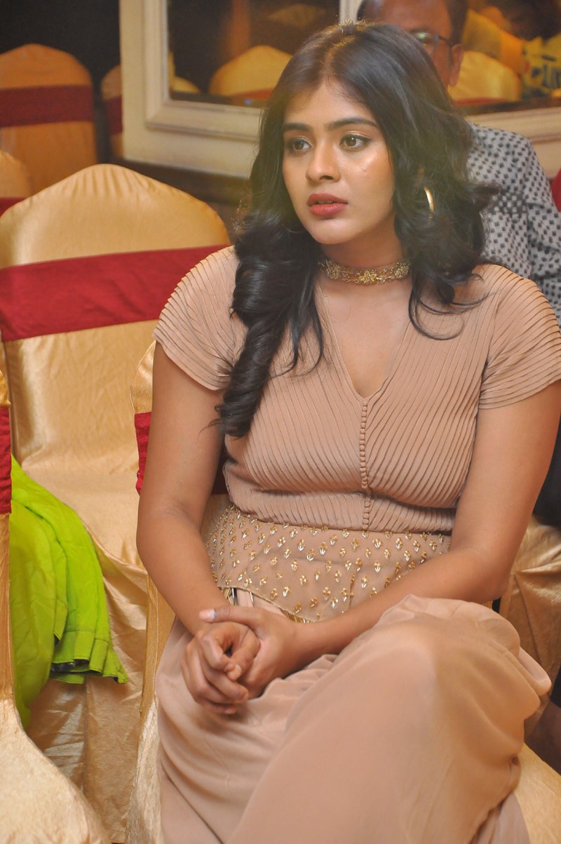 Hebah Patel Photos at Santosham Awards 2017 Curtain Raiser 11 hebah patel photos southcolors%2B%252811%2529