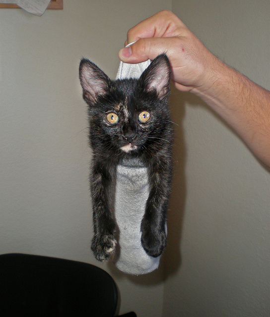 Deranged Gamer Moving Mayhem