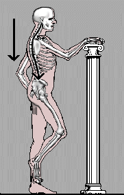 posição da coluna humana