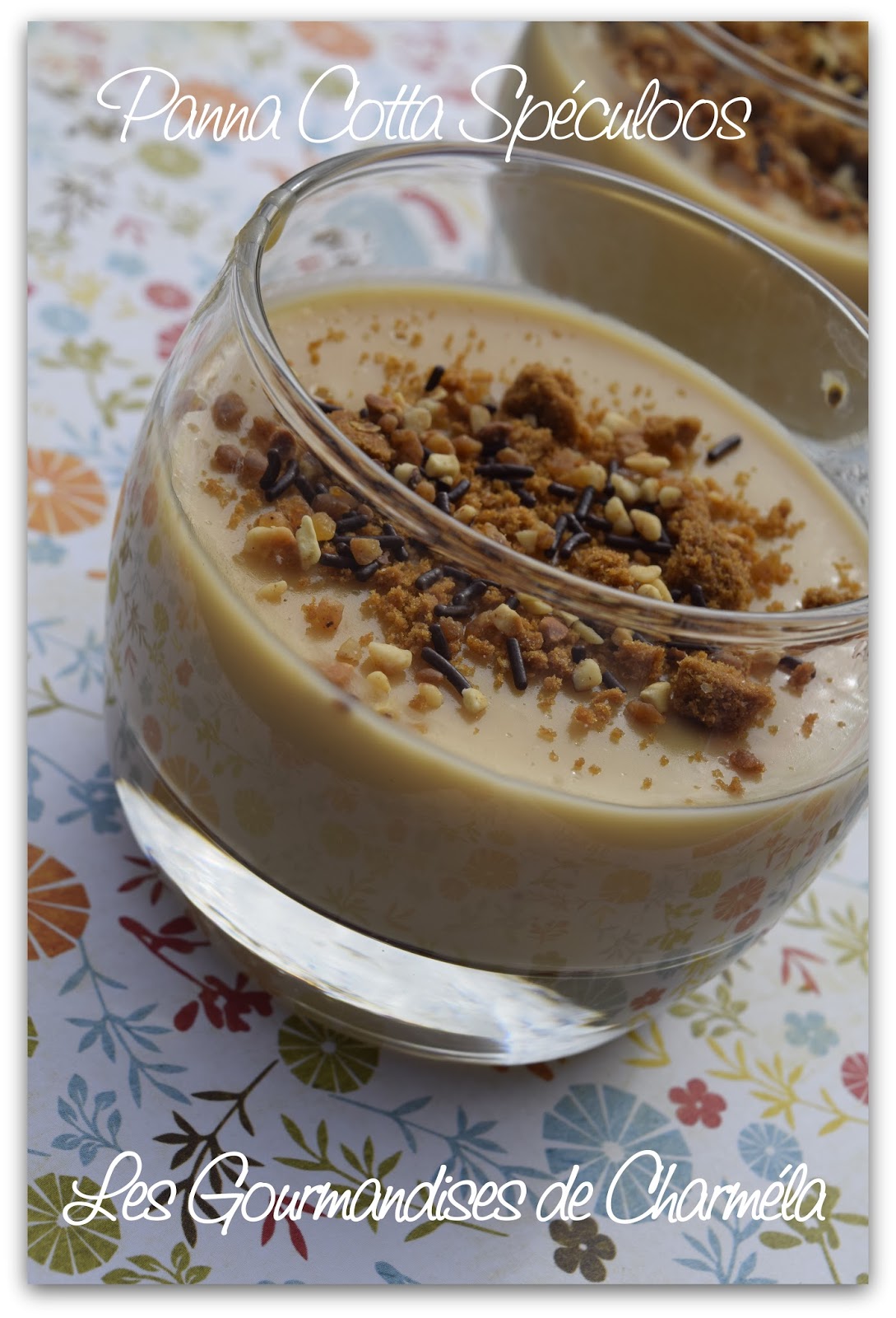 Les Gourmandises de Charméla Panna Cotta Spéculoos (excellente!)