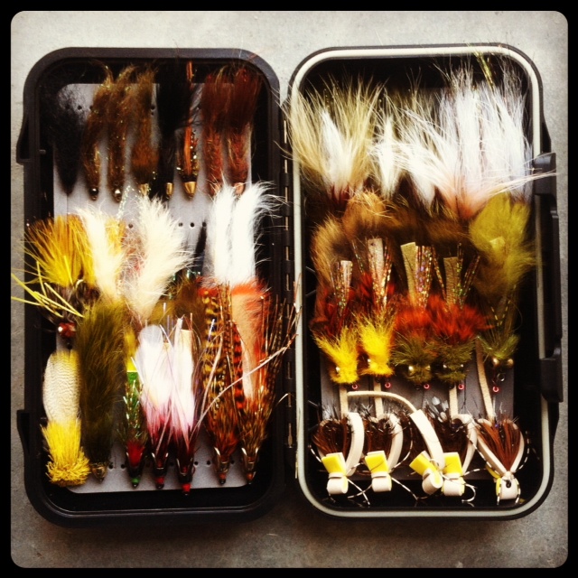 The Fiberglass Manifesto OCD, Flies, And Fly Boxes