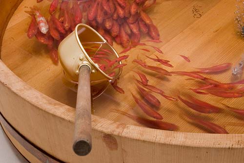 Goldfish Salvation riusuke