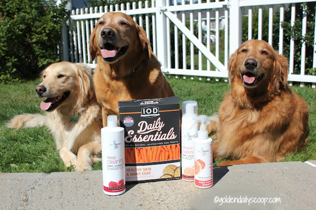 grooming your dog with Isle of Dogs grooming products review and giveaway