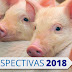 Novos projetos na área de bem estar animal devem marcar 2018
