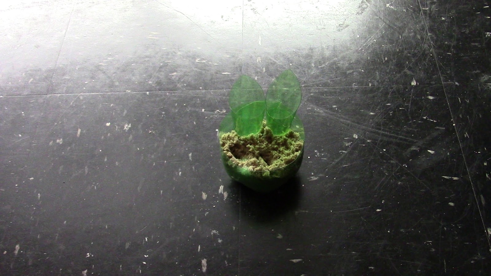 Random Bits Spider Plant Aquarium Garden