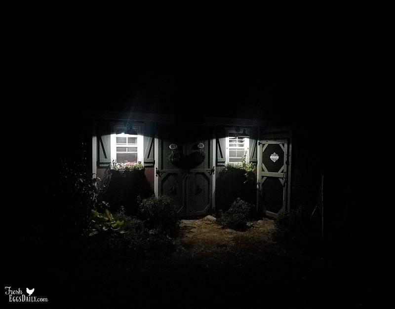 How To Install Lights Outside Your Coop With No Electricity Fresh How To Install Lights Outside Your Coop With No Electricity
