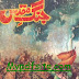 Jang e Muqadas Novel