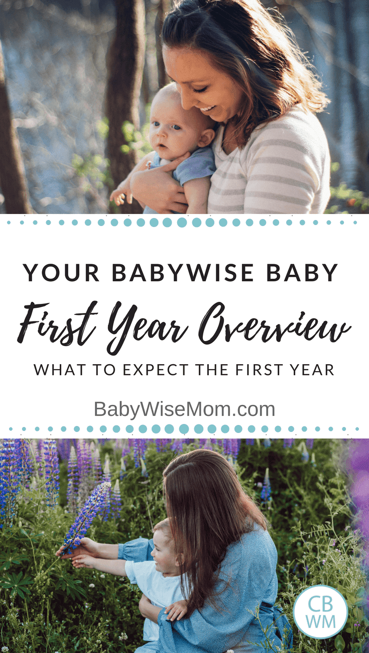 Your Babywise Baby First Year Overview Chronicles of a Babywise Mom