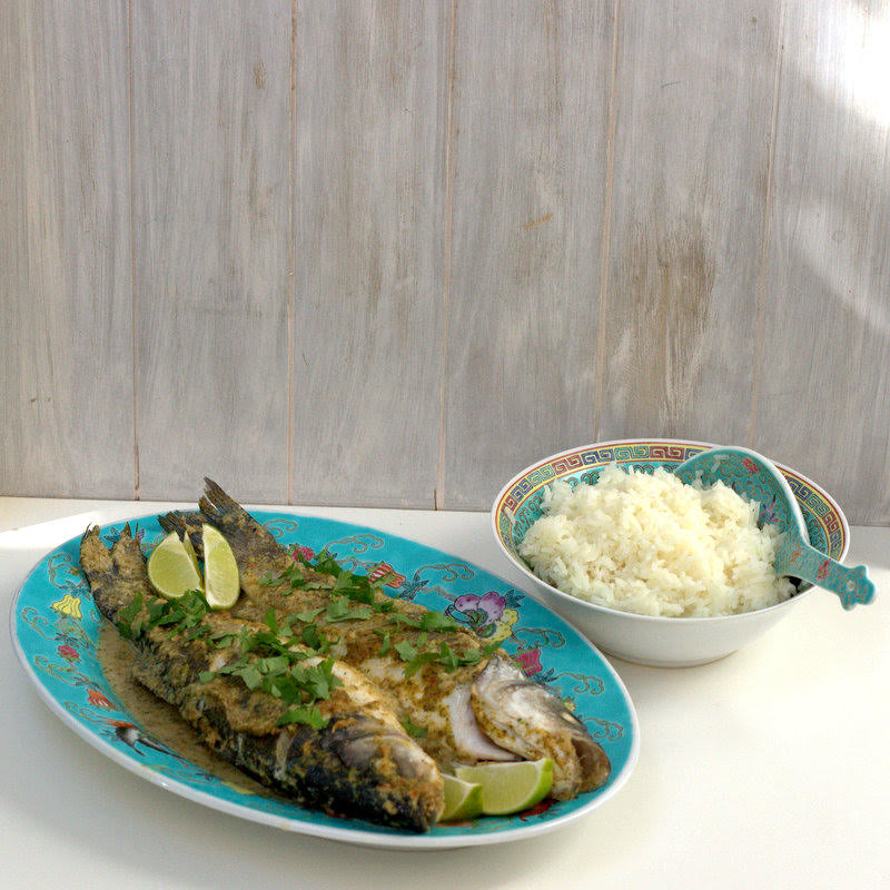 bushcooks kitchen: Ganzer Wolfsbarsch in Thai-Curry-Sud aus Alex kocht ...