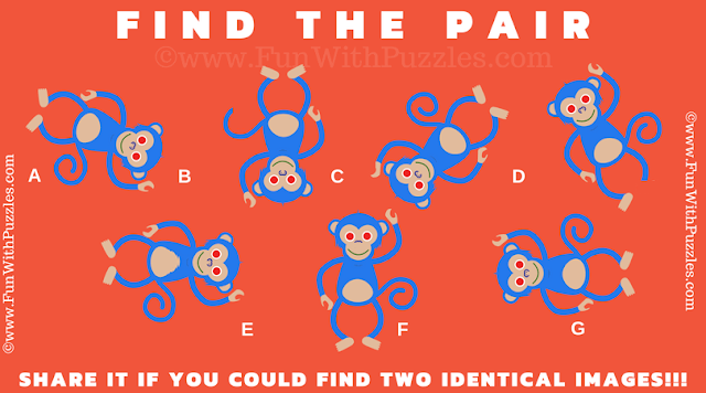 Test Your Observation with Monkey Match Mind Puzzle