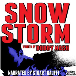 SNOW STORM AUDIO