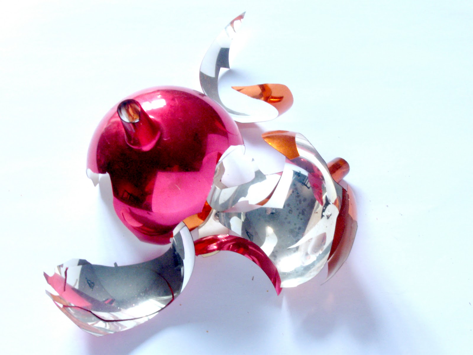 Walking the Wild Path Repairing Broken Treasures