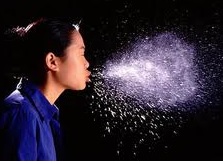 22 - Pragas e Eventos