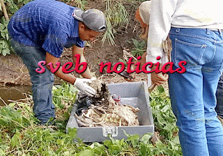 Identifican los restos humanos hallados en Alamo Veracruz