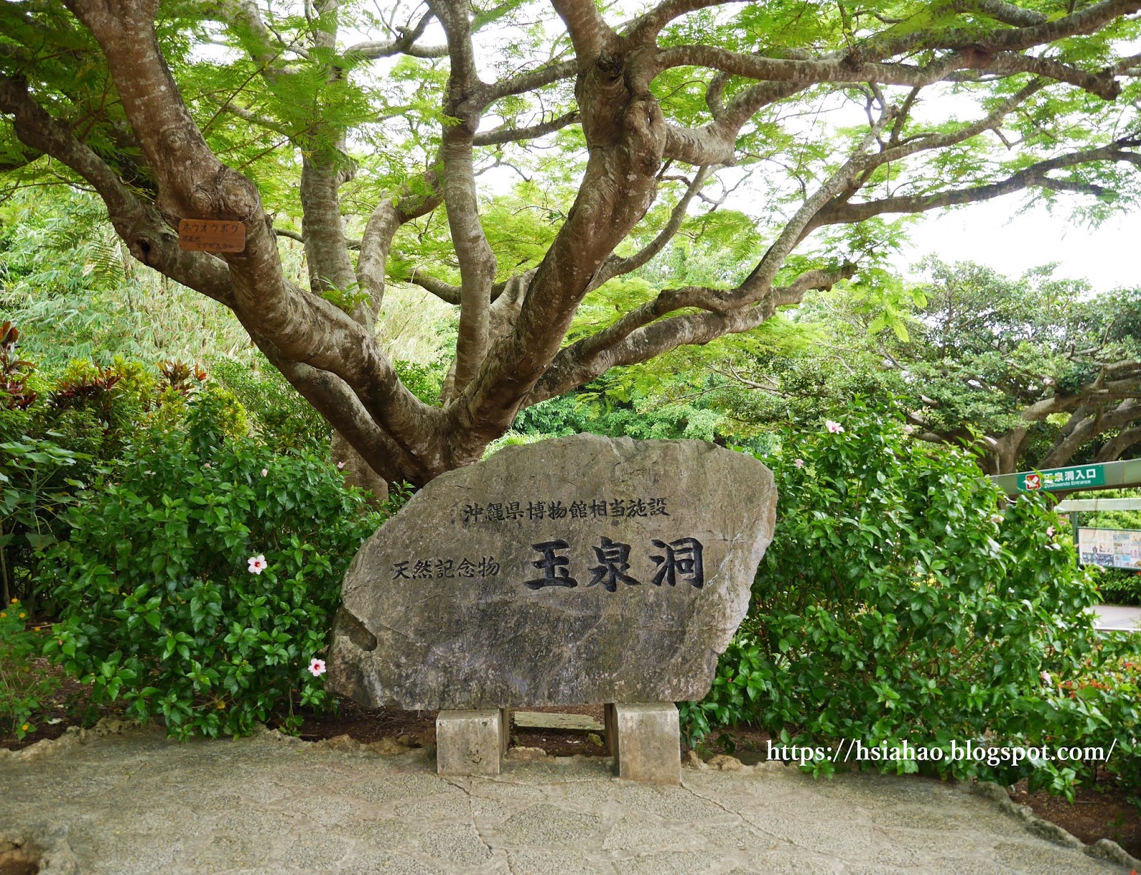 沖繩-景點-沖繩世界文化王國-玉泉洞-自由行-旅遊-Okinawa-world