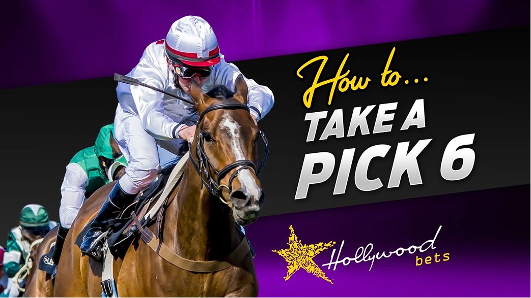 Hollywoodbets Sports Blog VIDEO How to take a Pick 6 horse racing bet