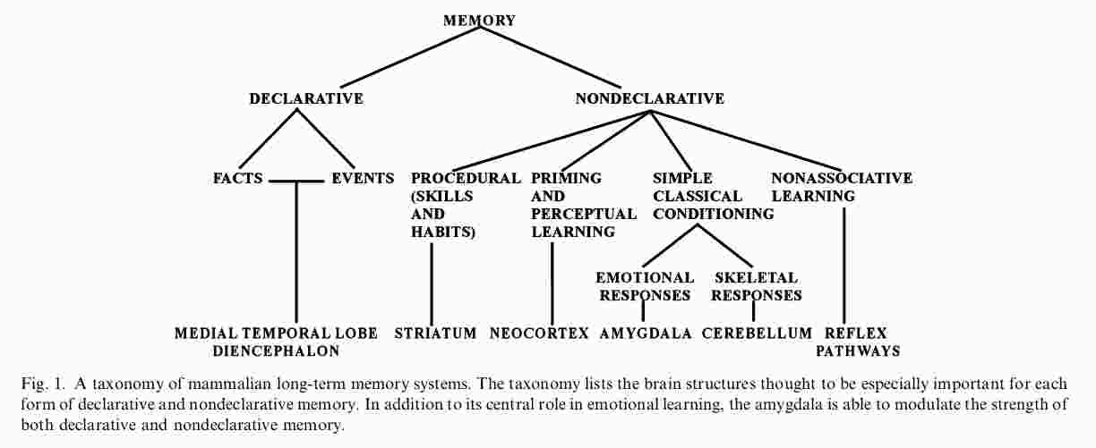 Google visual data 8