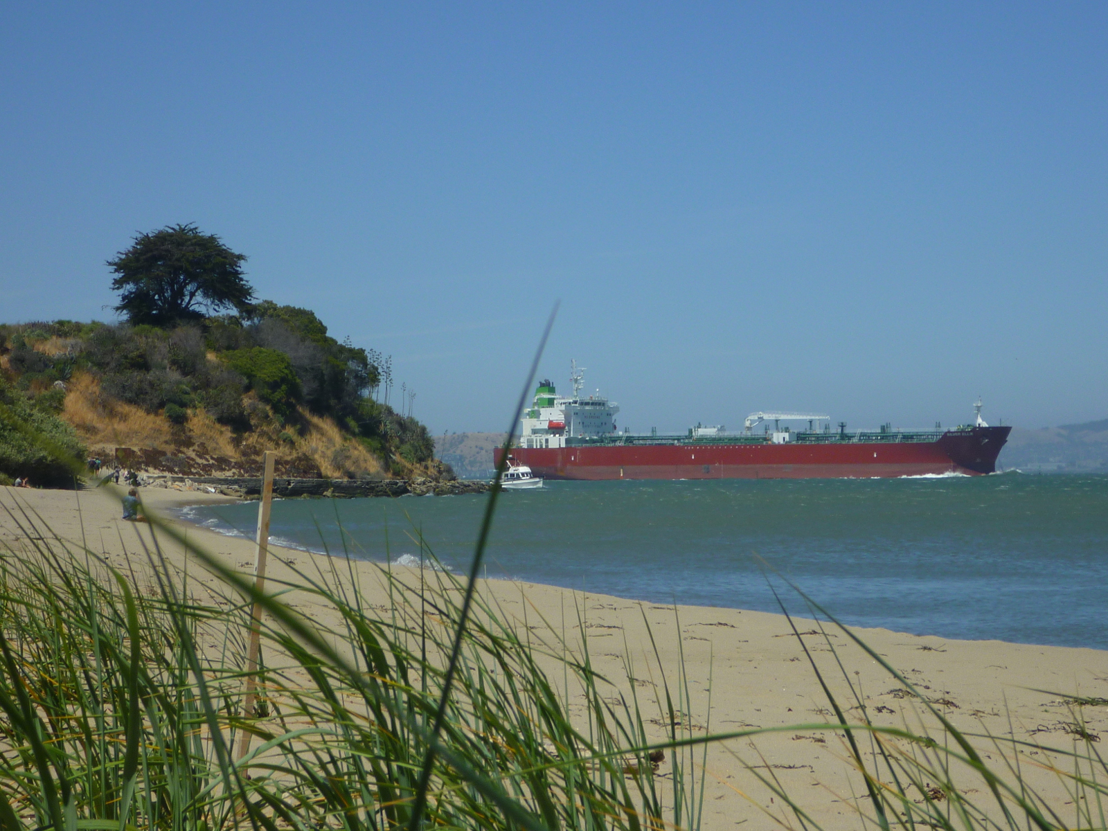 Trailing Ahead Angel Island State Park