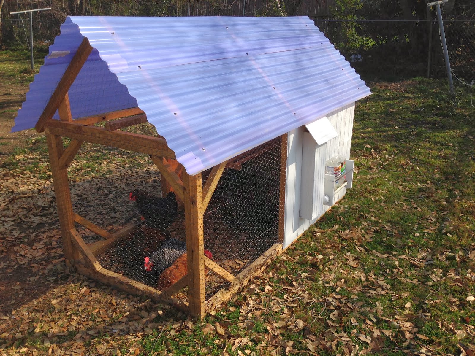 Chicken Tractor