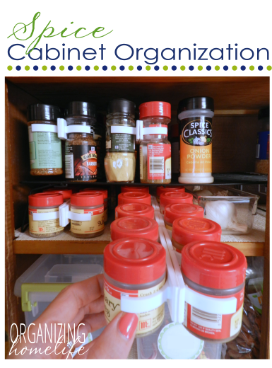 Spice clips to organize spices :: OrganizingMadeFun.com