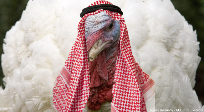 That's interesting...: Are you eating a Muslim turkey?
