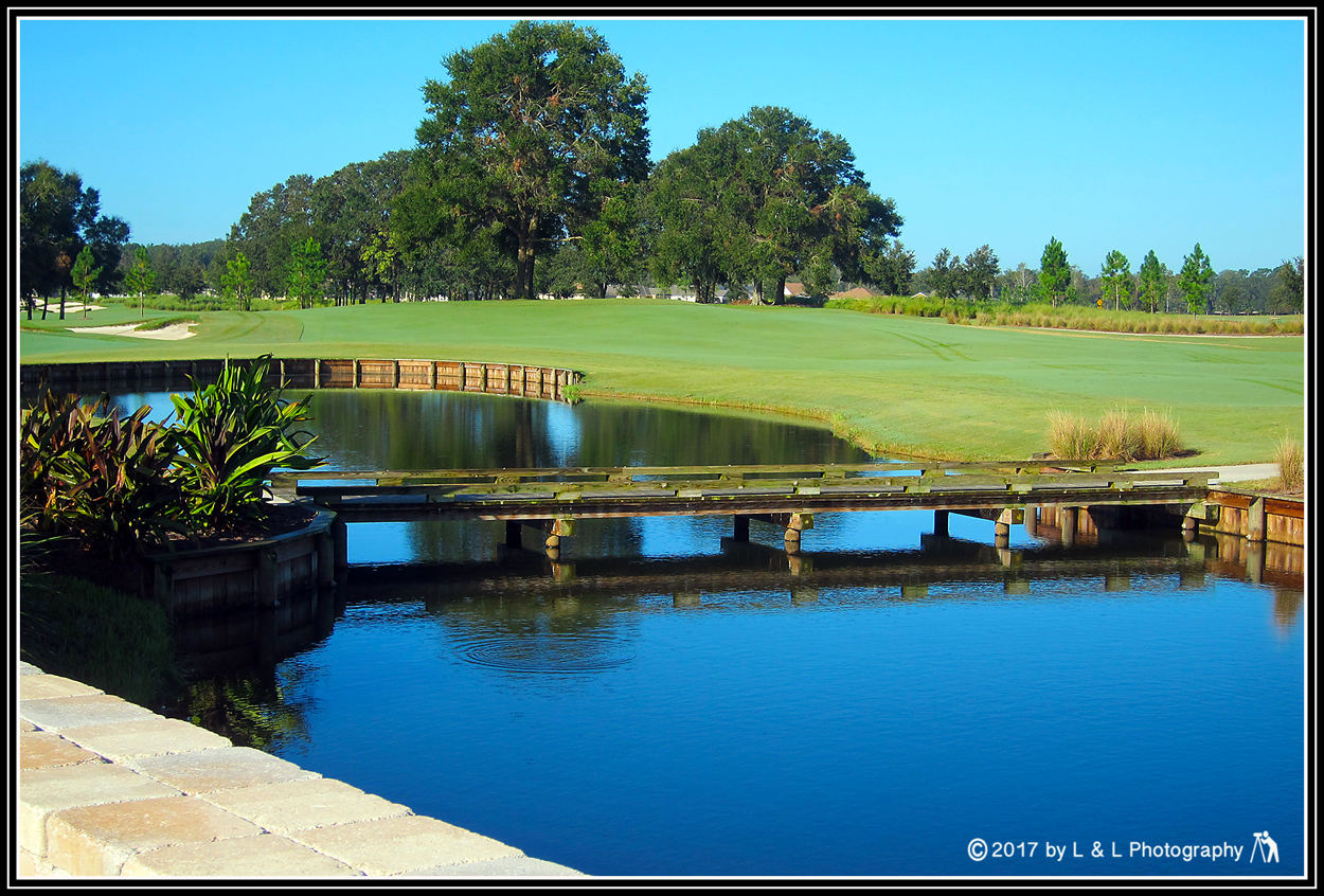 Ocala Central Florida Beyond: Trilogy Golf Course at Ocala Preserve Ocala Central Florida Beyond: Trilogy Golf Course at Ocala Preserve