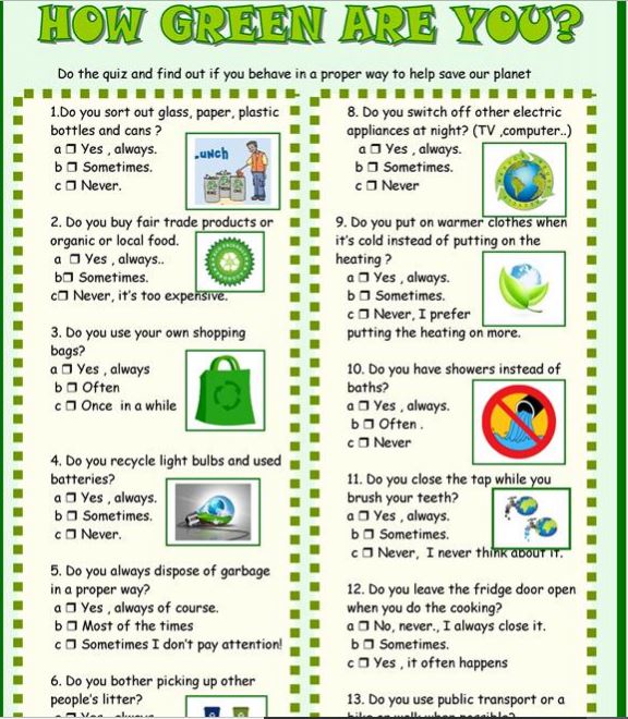 How can we take care of the environment essay image