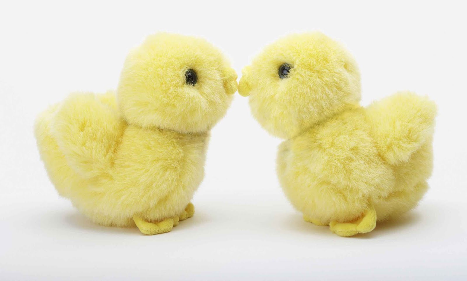 7 Cute Easter Chicks Wallpapers Cool Christian Wallpapers