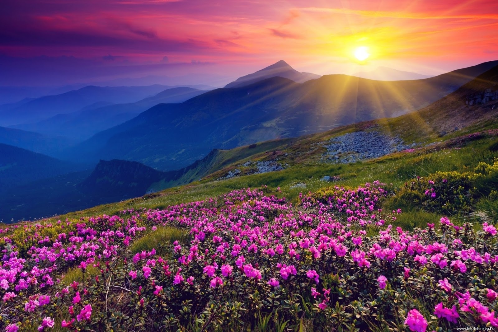 Kari LikeLikes Valley of Flowers, Uttarakhand, Indian Himalayas nature