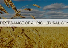 %255E37C38A5CEA7F18B29E3B4B935415D53CDAC