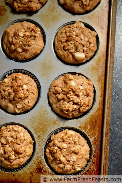 a muffin pan with whole wheat pear and pecan streusel muffins