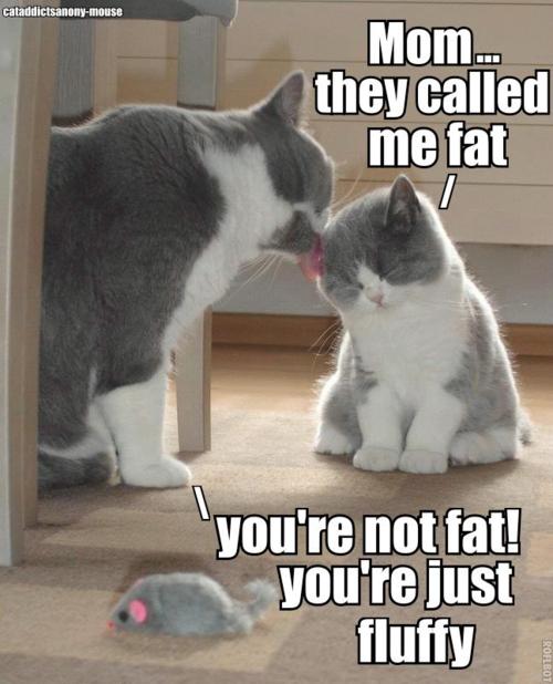 You're Not Fat - You're Just Fluffy